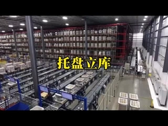 Max 3500kg Pallet Automatic Racking System AS-RS Stacker With Double Column