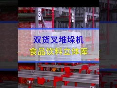 Max 3500kg Pallet Automatic Racking System AS-RS Stacker With Double Column